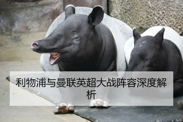 利物浦与曼联英超大战阵容深度解析